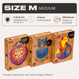Gift Set #3 (OWL M, FOX M, LION M)