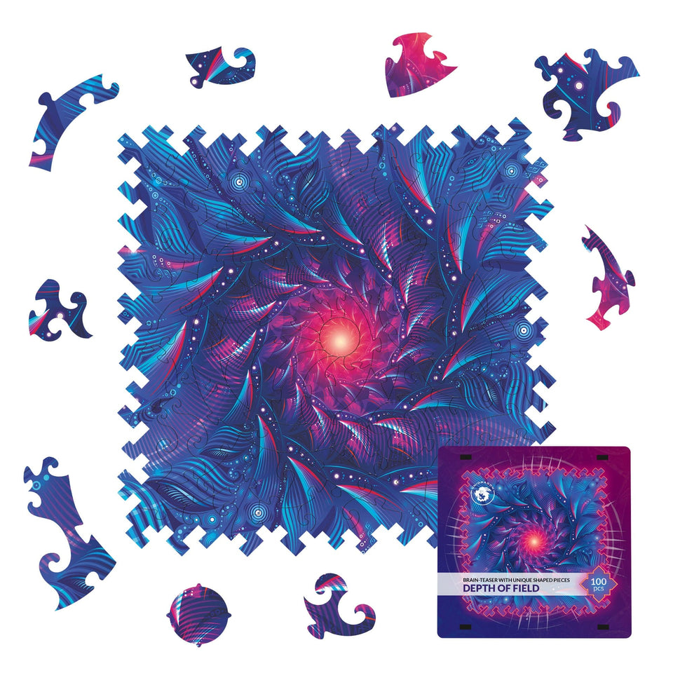 Depth of Field wooden brain teaser puzzle — front view with vivid artwork