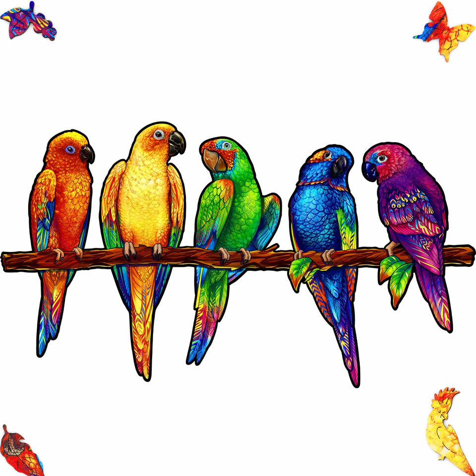 Playful Parrots 5 in 1 wooden puzzle — front view with vivid artwork