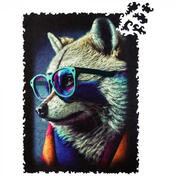 Raccoon Bandit