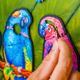 Playful Parrots 5 in 1 wooden puzzle — size dimensions and comparison