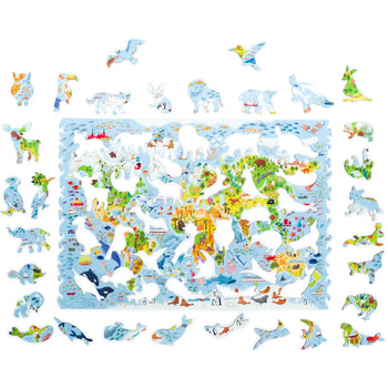 World Map